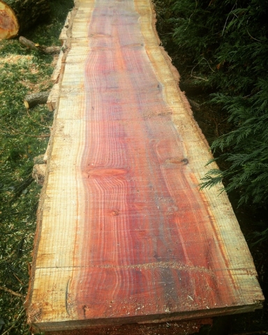 redwood-felixstowe